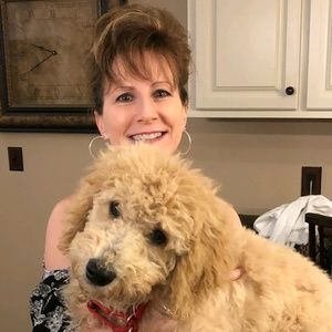 Meet your Posher, Dana